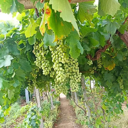 Trullo22 *