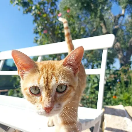 Holiday home Trullo22 Martina Franca