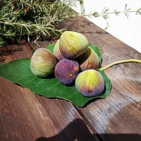 Trullo22 Martina Franca