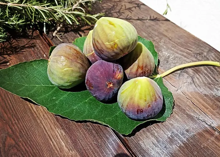 Trullo22 Martina Franca